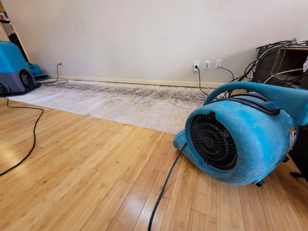 Professional Flood Damage Cleanup technician working in Capac, MI